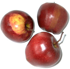Äpfel-rot3.jpg